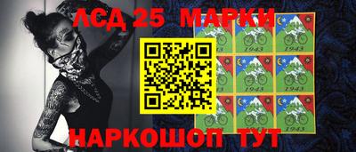 spice Кимры
