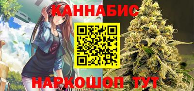 гидра Кингисепп