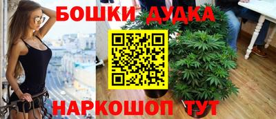 гидра Кингисепп