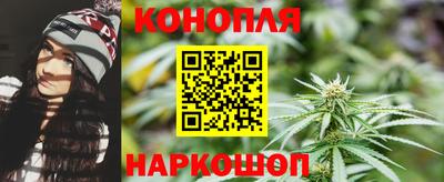 гидра Кингисепп