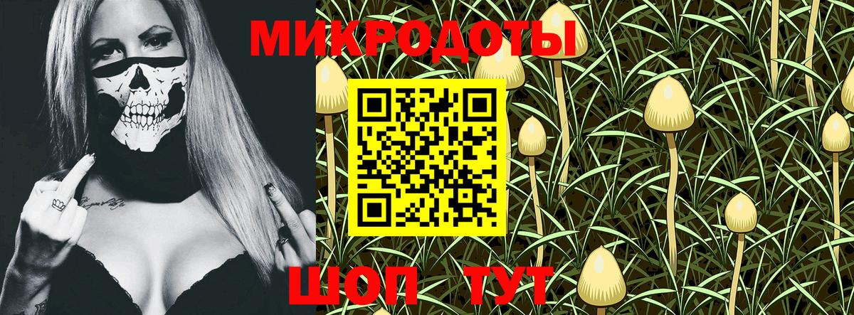 Горно-Алтайск  Псилоцибиновые грибы Psilocybe  Вход с VPN 