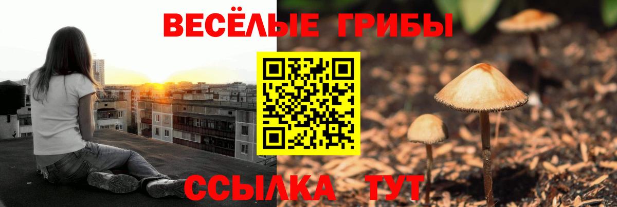 Галлюциногенные грибы мицелий Горно-Алтайск